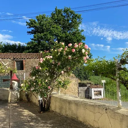 Guest house Le Petit Moulin 3*