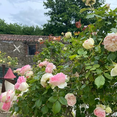 Le Petit Moulin Guest house