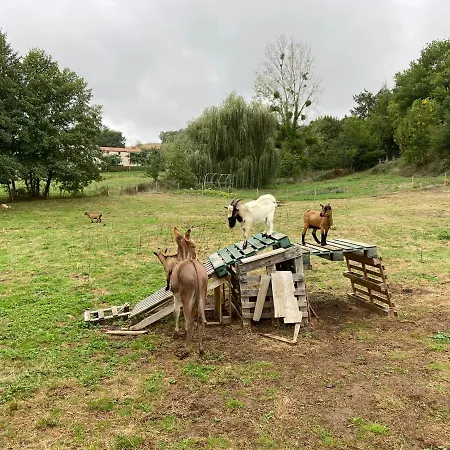 Le Petit Moulin Guest house Pouzauges