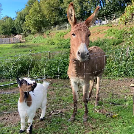 Le Petit Moulin 招待所