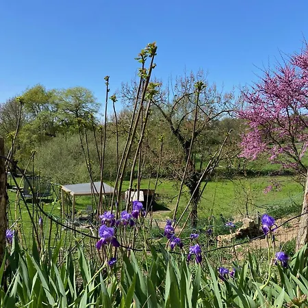 Le Petit Moulin 招待所 普佐日