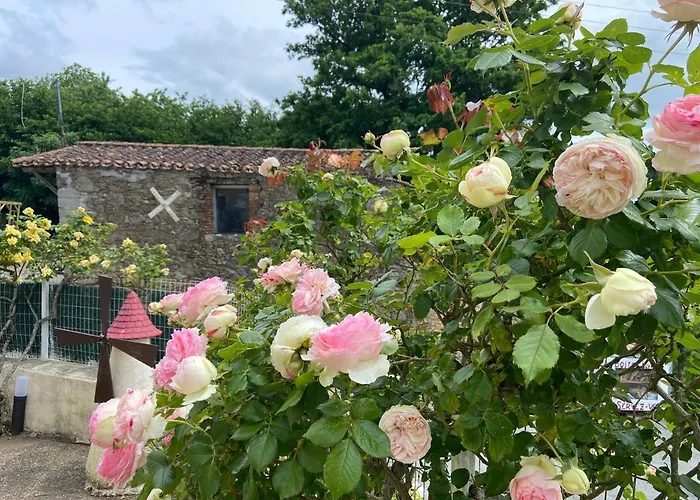 Le Petit Moulin بيت ضيافة