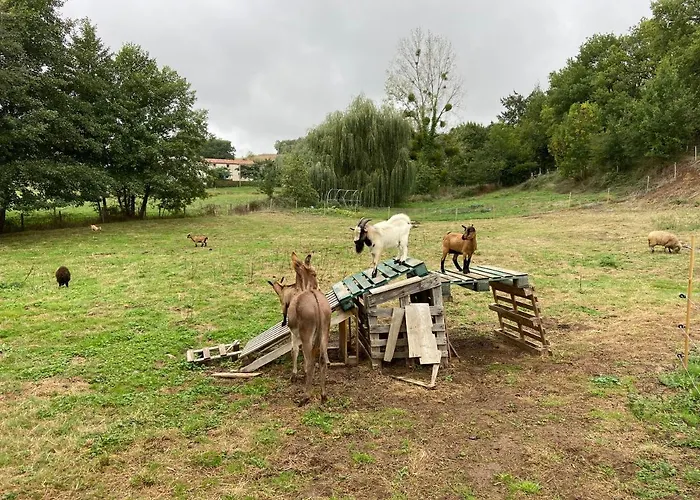Le Petit Moulin Maison d'hôtes Pouzauges