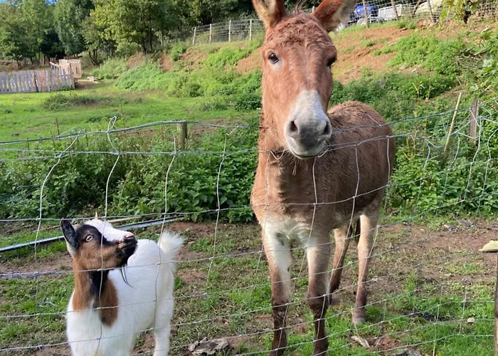 Le Petit Moulin بيت ضيافة