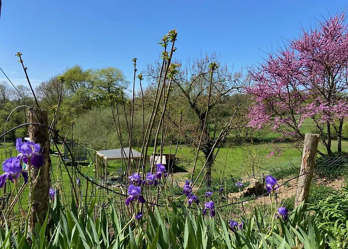 Le Petit Moulin Maison d'hôtes Pouzauges