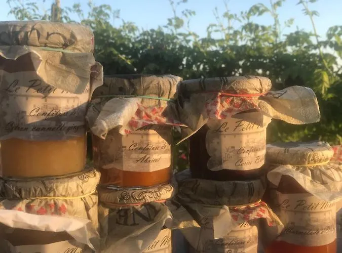 Le Petit Moulin بوزاوغيس